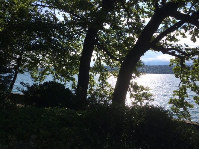 On Golden Lake, Geneva, Copyright Silverleaf 2015