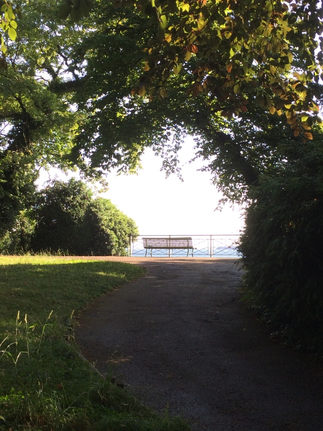Lake View, Geneva, Copyright Silverleaf 2015